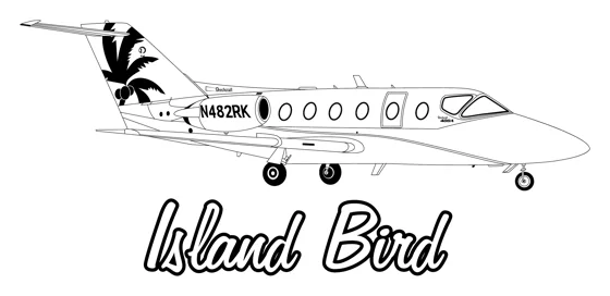 Island Bird original aircraft artwork