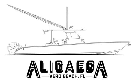 Aligaega, Artwork