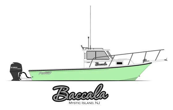 Baccala, Artwork