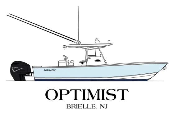 Optimist, Artwork